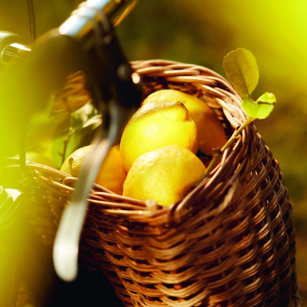 Maison Margiela Replica Under the Lemon Trees Eau de Toilette - Image 5